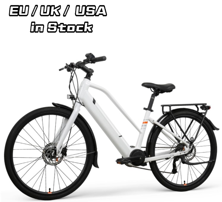 Green Electric Bicycle For Two Adults