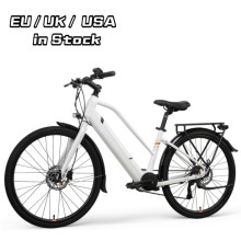 Dropshipping Citi Bike Electric Assist