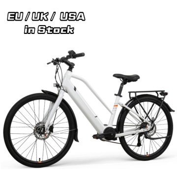 Bicicletta elettrica verde per due adulti