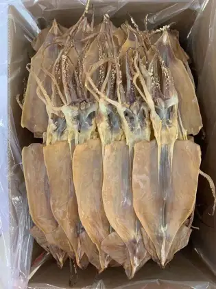 Frozen Dried Squid Snacks – Customized, Headless, Fresh Seafood Treat