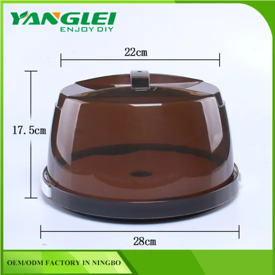 mini cake box Plastic Food Container