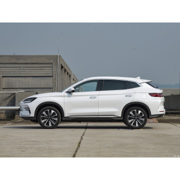 Comfortable byd song plus ev