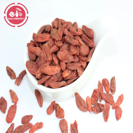 Traditional Herbal Better Taste Organic Goji Berry