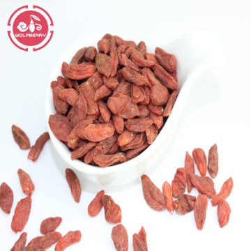 Anti-Aging Superfood  Protect Eyesight  goji berries