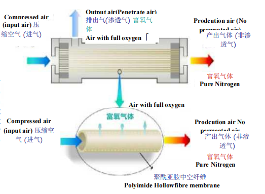 Nitrogen production by hollow fiber membrane separation