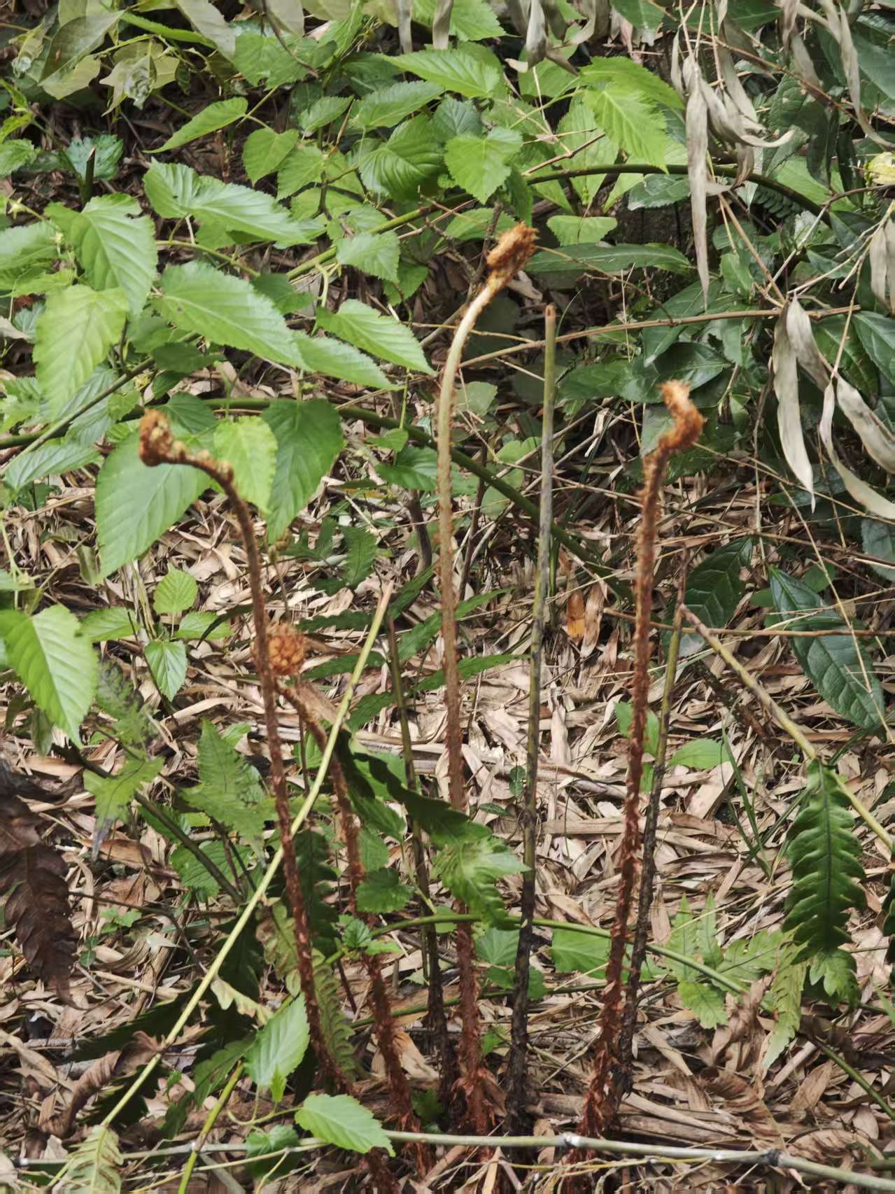 0df11bf81fd956b8bb7c896d66099063