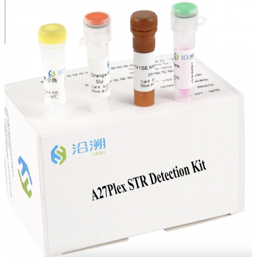 A27 Plex STR Detection Kit