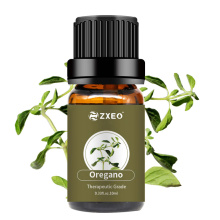 برچسب خصوصی 100 ٪ روغن پونه کوهی طبیعی ارگانیک خالص طبیعت خالص روغن Oregano