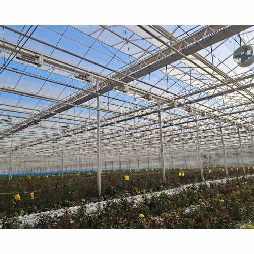 Floral Planting Multi Type Agricultural Planting Greenhouse