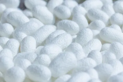 Organic Silkworm Cocoon Supplier for Skin Care Products