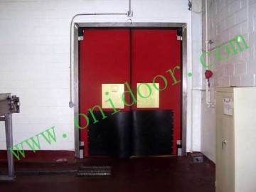 Swing Door