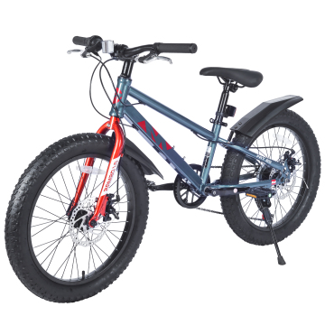 ZUKKA 20 inch Top Mountain Bike: Affordable Fat Tire MTB with Steel Frame - Grey
