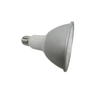 waterproof 16W LED PAR38