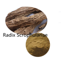 Pharmaceutical online Radix Scrophulariae Extract powder