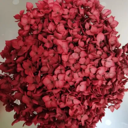 Wholesale Single Purple Hydrangea Preserved for Wedding Decoration
