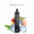 10 Fruits Disposable Vape Pen Electronic Cigarettes