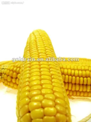 200TPD automatic corn flour mill machinery