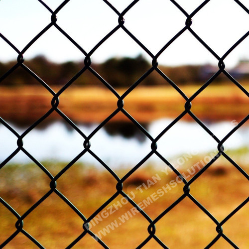 Vinyl Coated Chain Link Fence for Residential