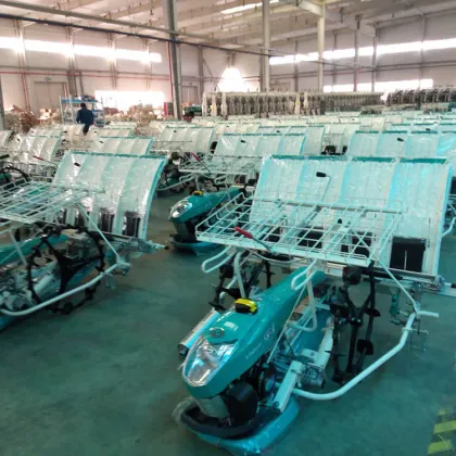 Yr60D Vietnam Rice Seeder Machine for Farms