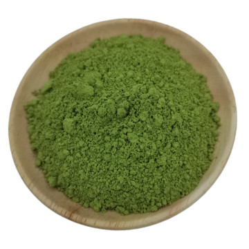 Fast shipment natural organic barleygrass juice powder