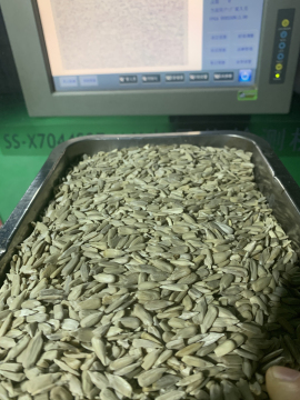 Green Shine Skin AA Pumpkin Kernel Seeds