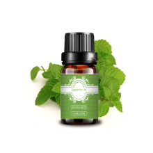 Manufactured Spearmint oil natural Hot Essential oil