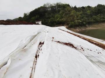 Composite geomembrane