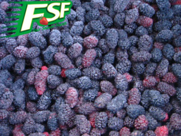 IQF/Frozen black mulberry ,fresh mulberry 2016 new crop