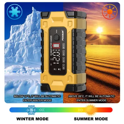 Japan Car Battery Charger 6V 12V AGM Battery Charger