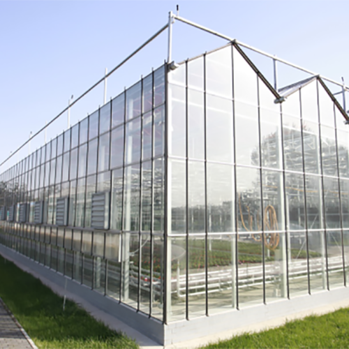 Invernadero de vidrio tipo Skyplant Commercia Venlo