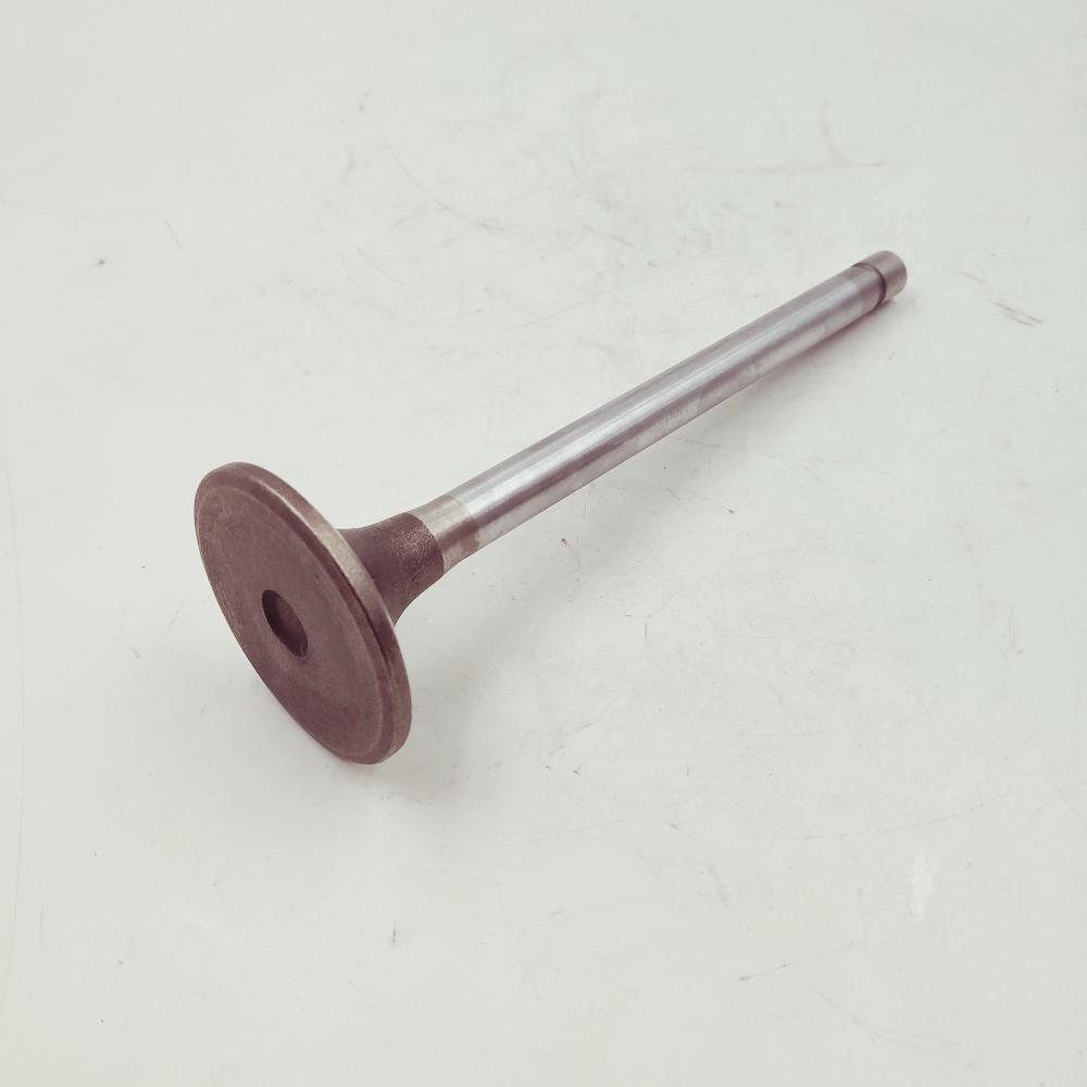 Exhaust Valve 3088389