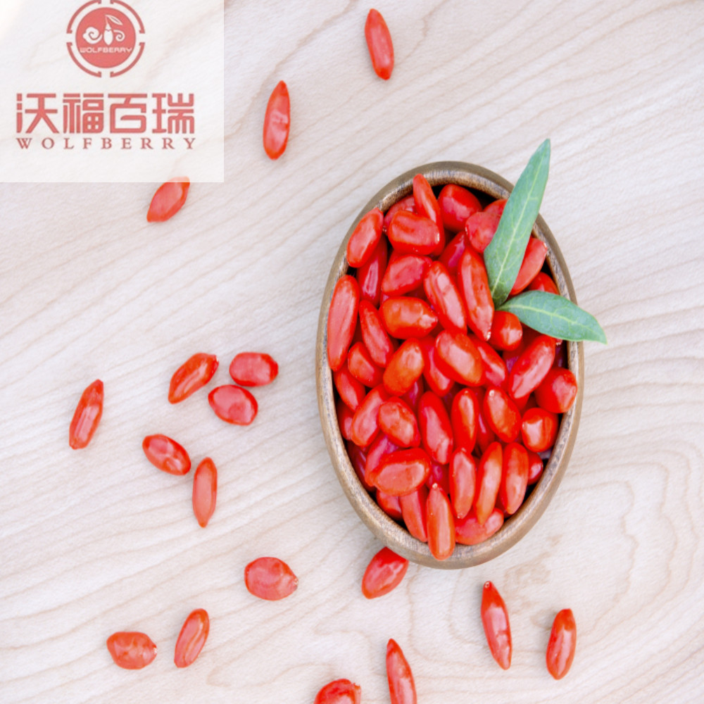 Herba Cina herba makanan berry goji organik