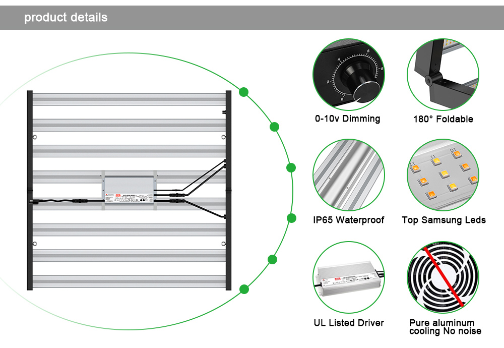 10 Indoor Plants Led Grow Light