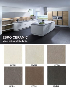 Factory supply 600x600mm 300x600mm Full body design Ceramic wall tile with Matt and Rough finish 66VE01