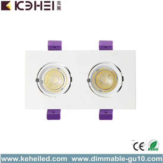 24W Two Head LED Trunk Downlight 5000K