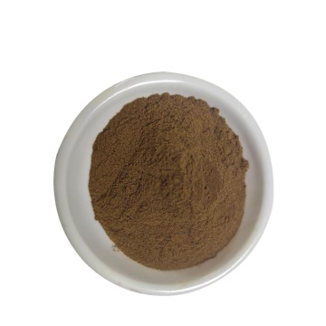 توريد مصنع بالجملة 100٪ مسحوق نباتي طبيعي Antrodia Camphorata Extract Powder 10: 1