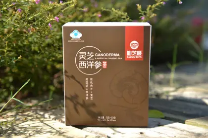 Customize Form American Healthy Herbal Ginseng Tea