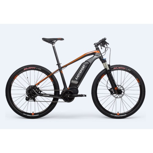 Mountain Electric Bike 28 Meilen pro Stunde