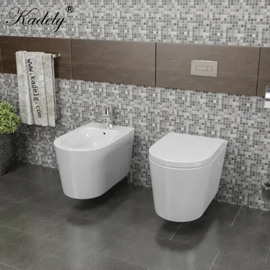 CE Standard Wall Hung Ceramic Toilet Set Round Bathroom Toilet Sanitary Ware

**Title:** Wall-Hung Ceramic Toilet with CE Standard