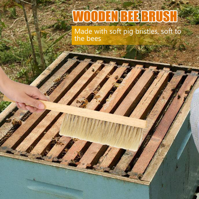 1pc Durable Soft Bristle Brush Beekeeping Tools Wood Brush New Beekeeping Equipment Easy Reusable Honeycomb-cleaning Tool