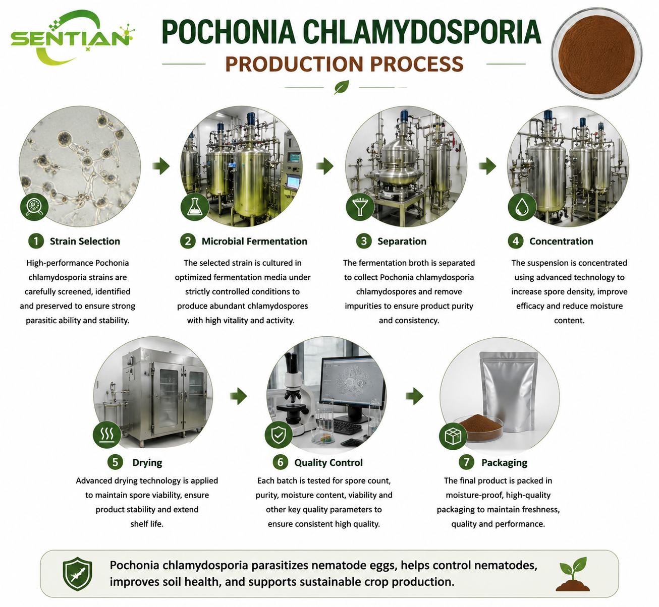 Pochonia chlamydosporia（1）