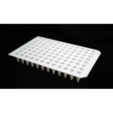 96-well 0.1ml No Skirt PCR Plates