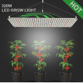 Hohe PPFD -LED -Wachstum von Leuchten Pflanzen Gewächshaus -Panel