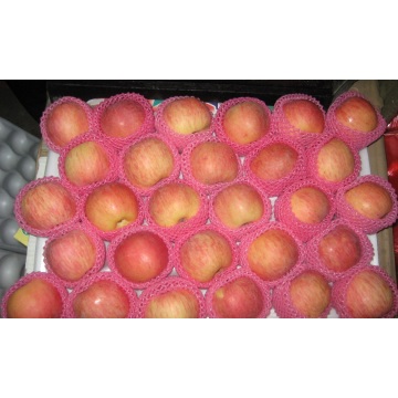 Fresh Shaanxi Fuji Apple