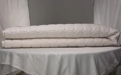 Water Heating Bed With High Quality