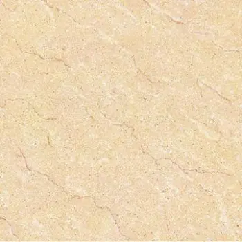 Floor Tile, Standard Size of 600 x 600mm, Made of Porcelain Material