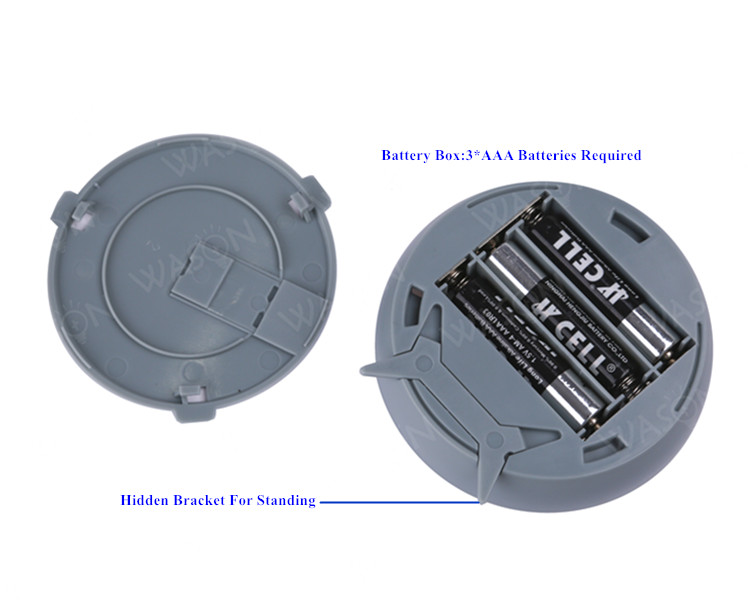 Motion Sensor Light