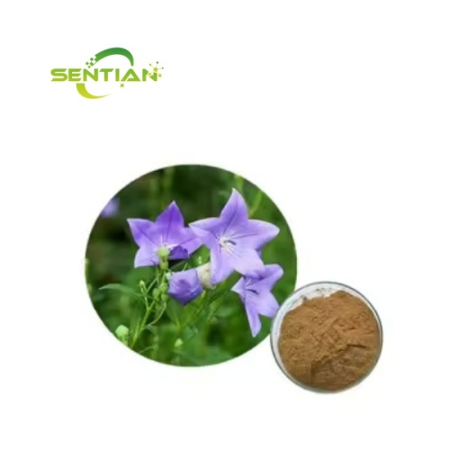 Food Grade Campanulaceae Extract Natural Platycodon Extract