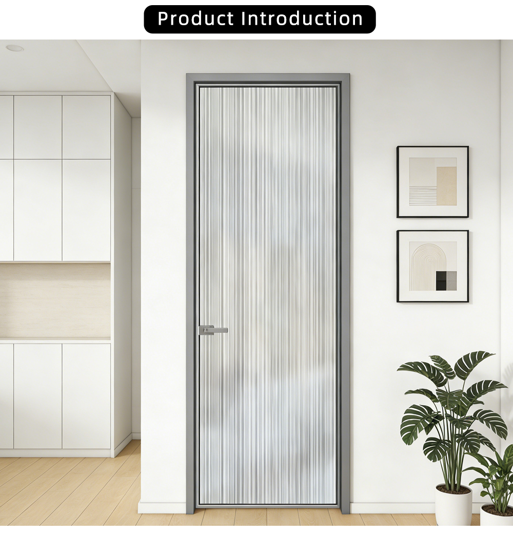 Modern Minimalist Gunmetal Grey Frame Glass Door YJ-P057 X