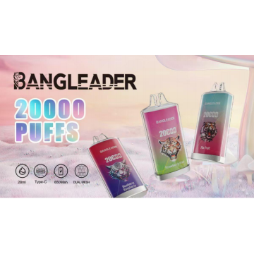 BANG LEADER 20K Puffs Vape Wholesale France